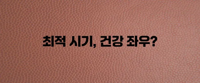 고양이 중성화수술 시기 건강을 지키는 선택이 중요합니다!