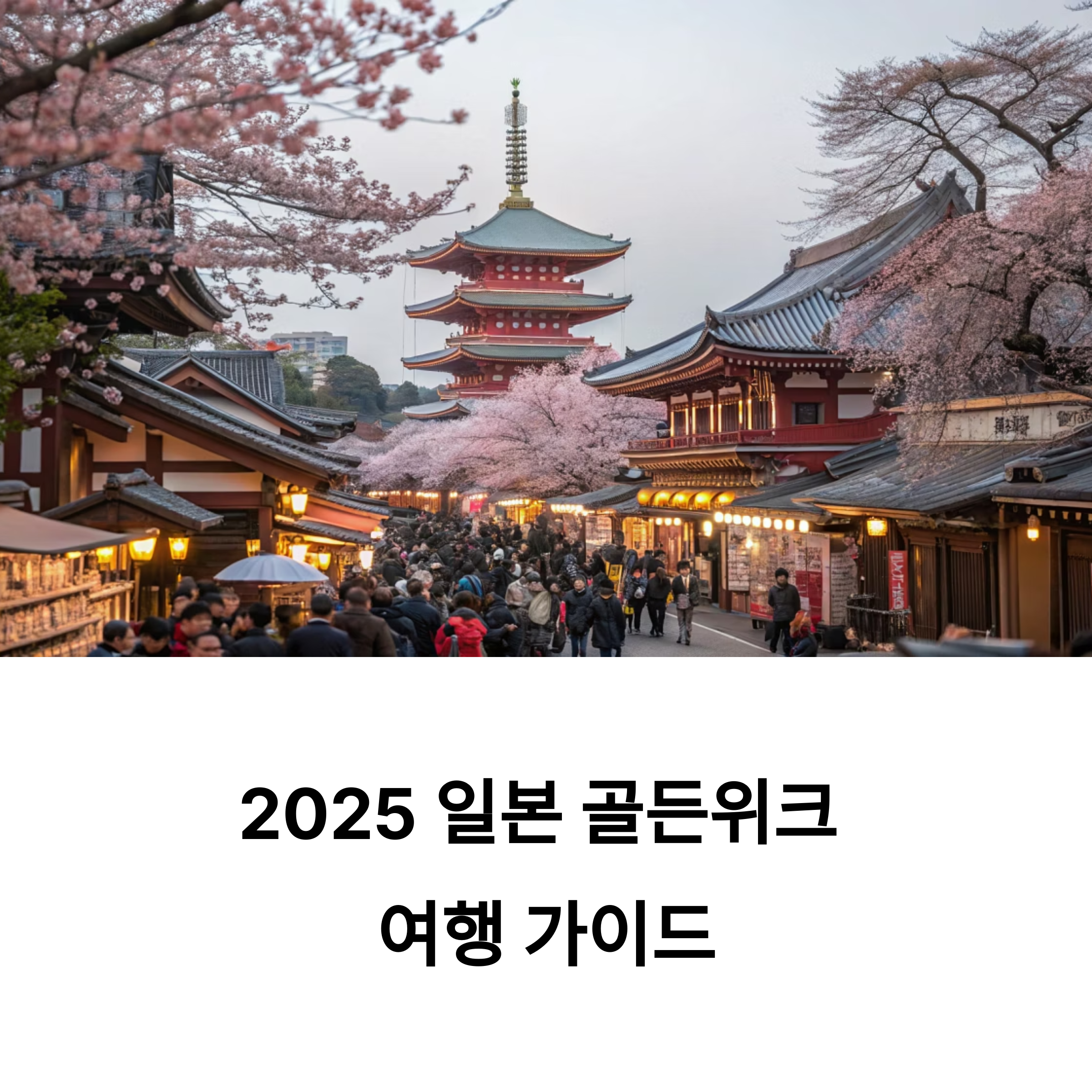입국심사 주의사항 총정리 (2025년 5월 기준)
