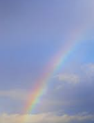 ISTP 유형 특징 분석