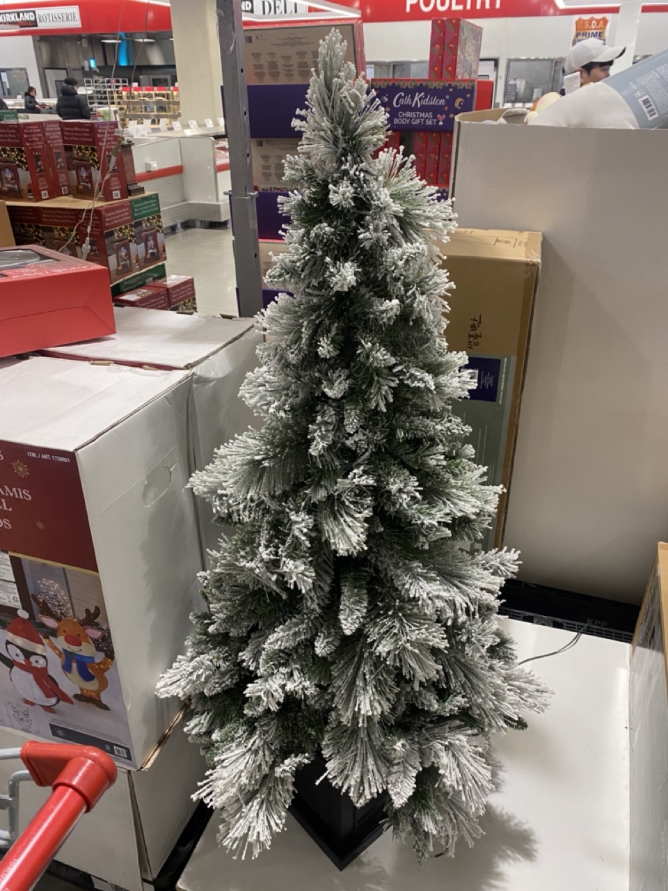 코스트코 크리스마스 트리