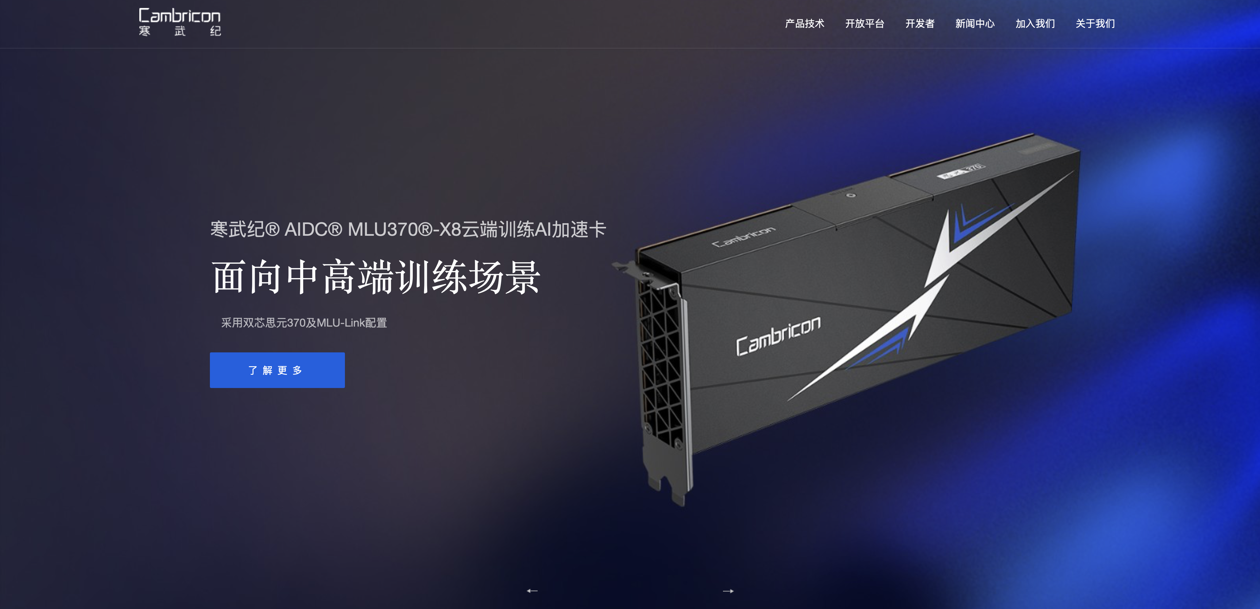 중국 반도체 팹리스 캠브리오