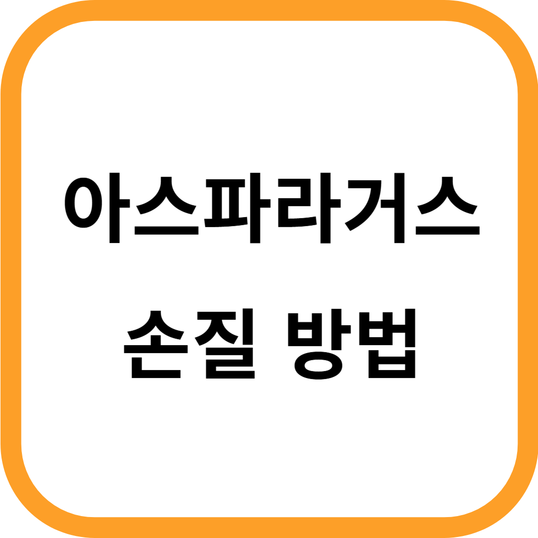 아스파라거스 손질법