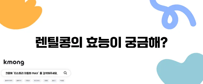 렌틸콩의 놀라운 효능 10가지와 함께 알아야 할 부작용