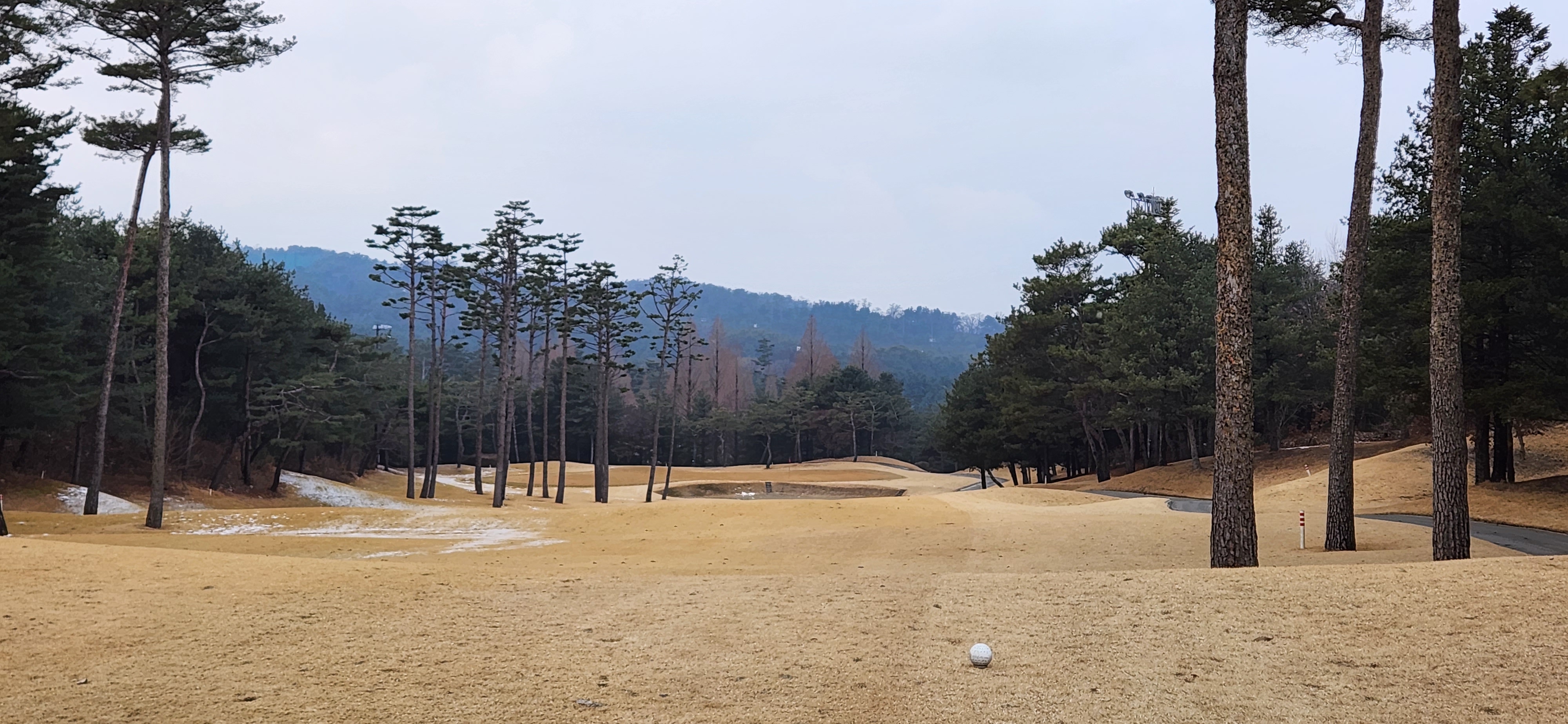 솔모로cc