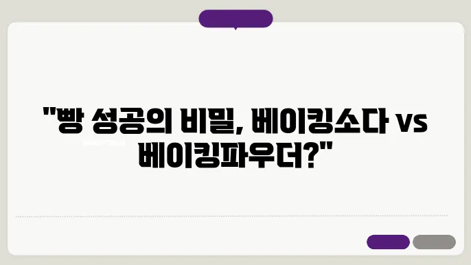 베든소다와 베이그파우더의 차이