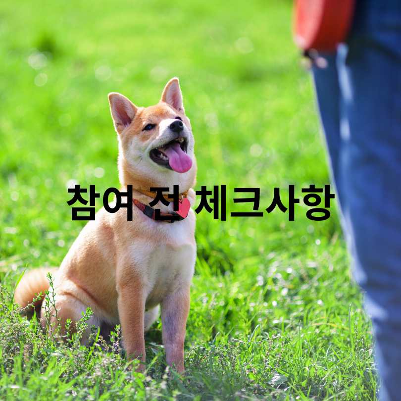 서울 반려동물 시민학교 신청 방법 총정리
