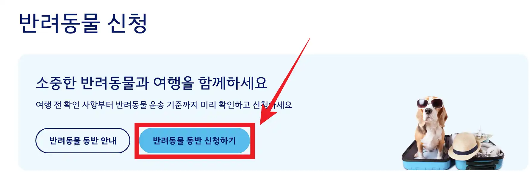 대한항공 반려동물 동반신청