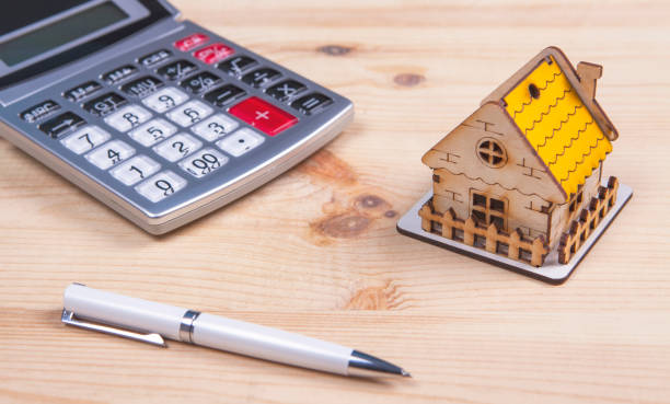 2025년 정부지원금