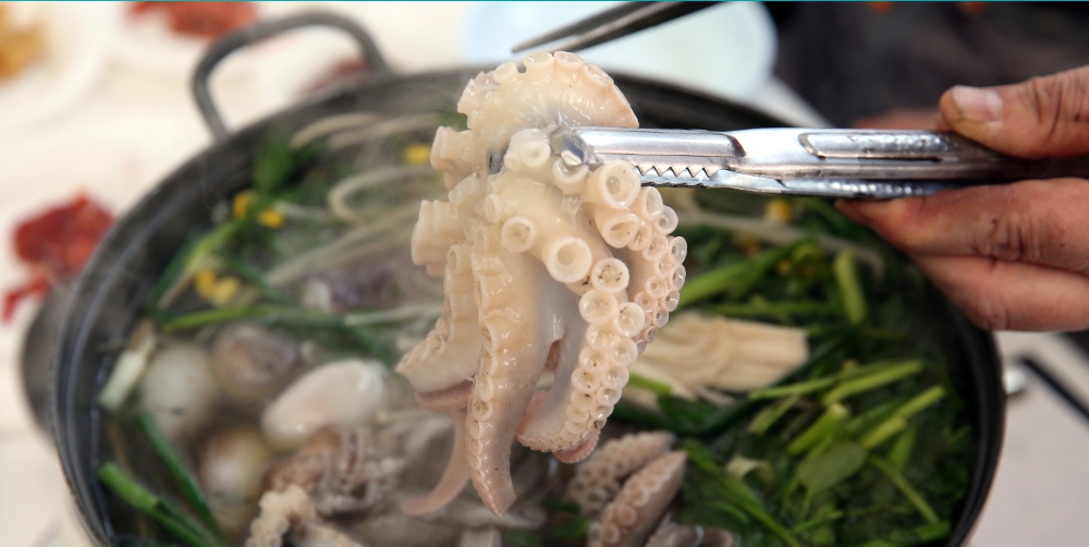 서천 동백꽃 주꾸미 축제