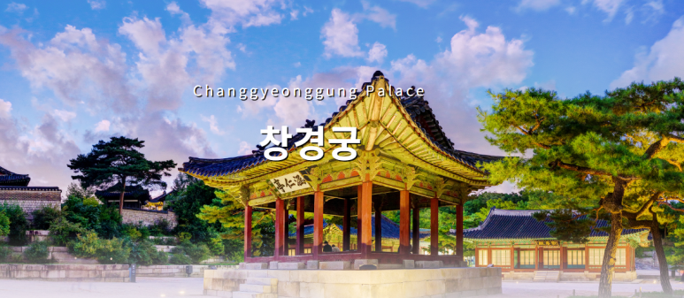 창경궁야간개장