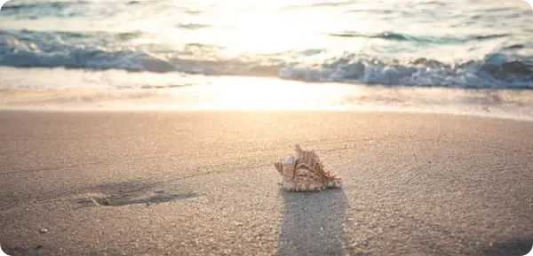 근로자 휴가지원사업