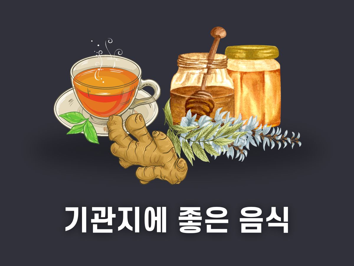 기관지에 좋은 음식