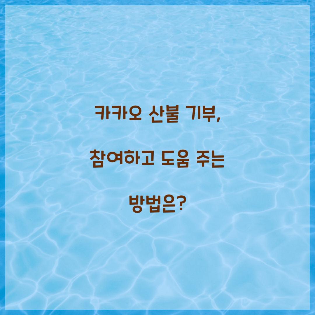 카카오 산불 기부
