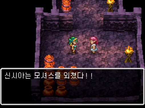 닌텐도 DS 한글판