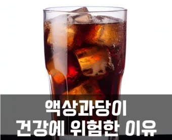 액상과당 종류 특성 유해성 판단_21