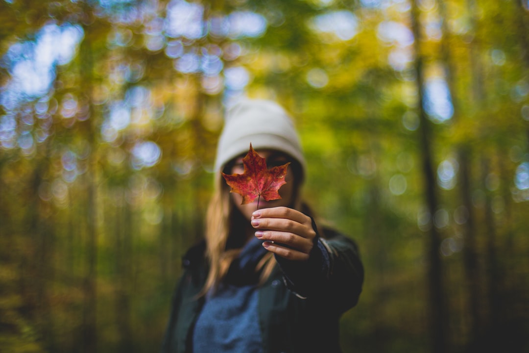 Explore