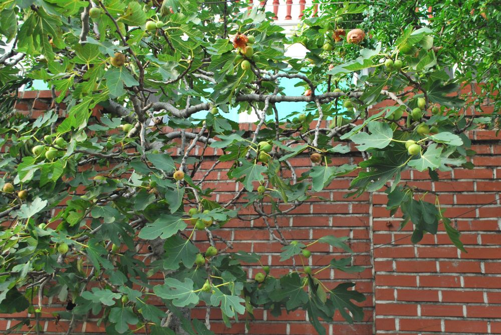 주례동 온골행복마을