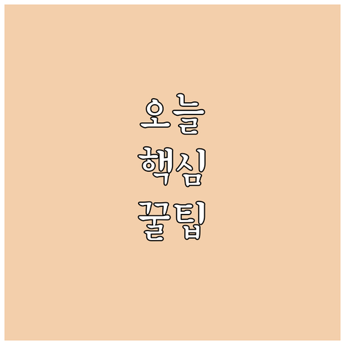 지금 확인! 2025 부여군 전입학생..