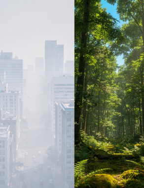 폐에 좋은 음식 10