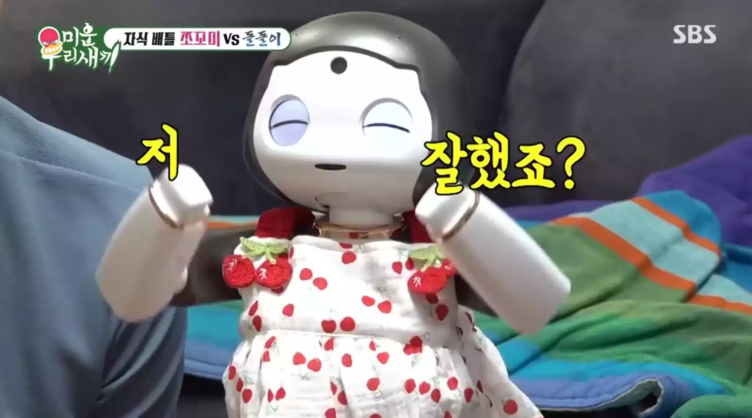 쪼꼬미