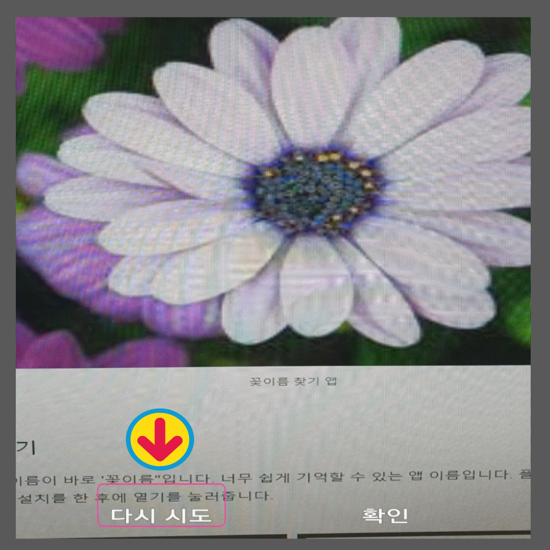 꽃 이름 찾기 앱