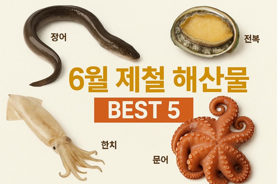 6월 제철 해산물 재료