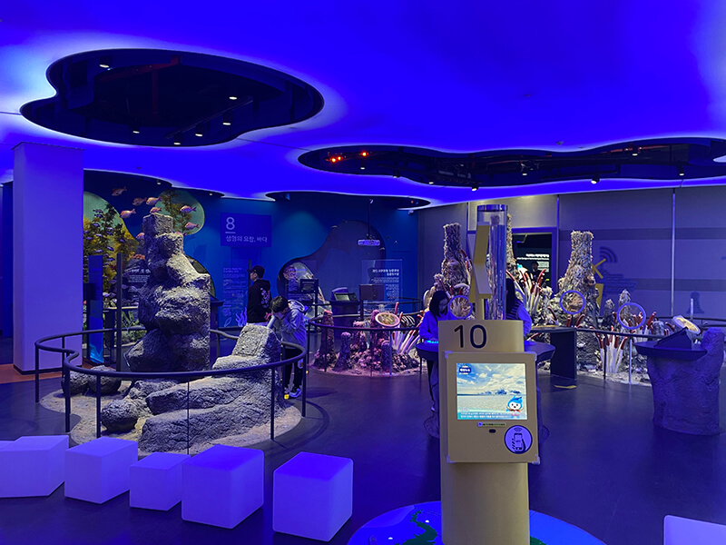 Zone 8 생명의 요람 바다, 전경 사진