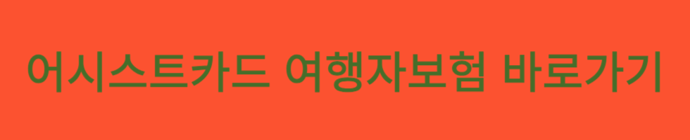 2024 여행자 보험