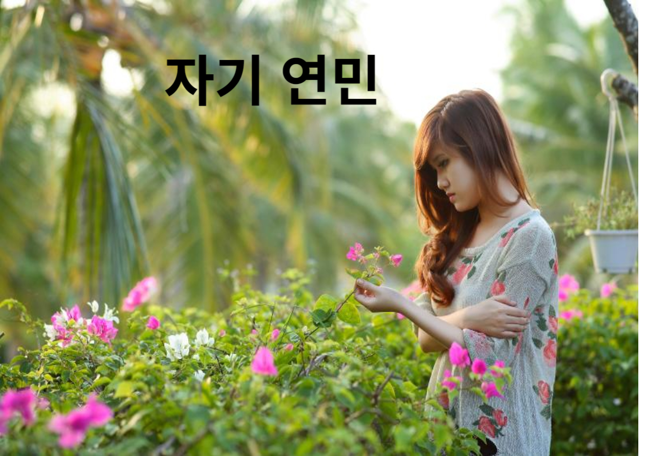 자기 연민