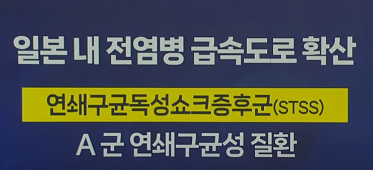 일본 전염병 STSS 관련주 수혜주