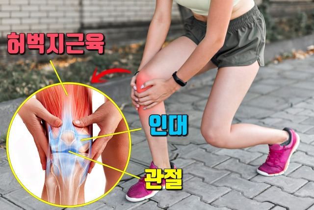 무릎 아플때 하는 운동,무릎 아플때 좋은 운동,팁줌