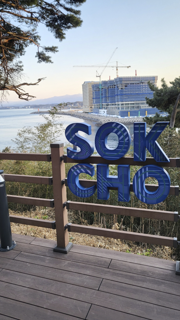 롯데리조트속초 로티로리방 바다향기로