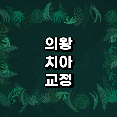 의왕시 교정 치과