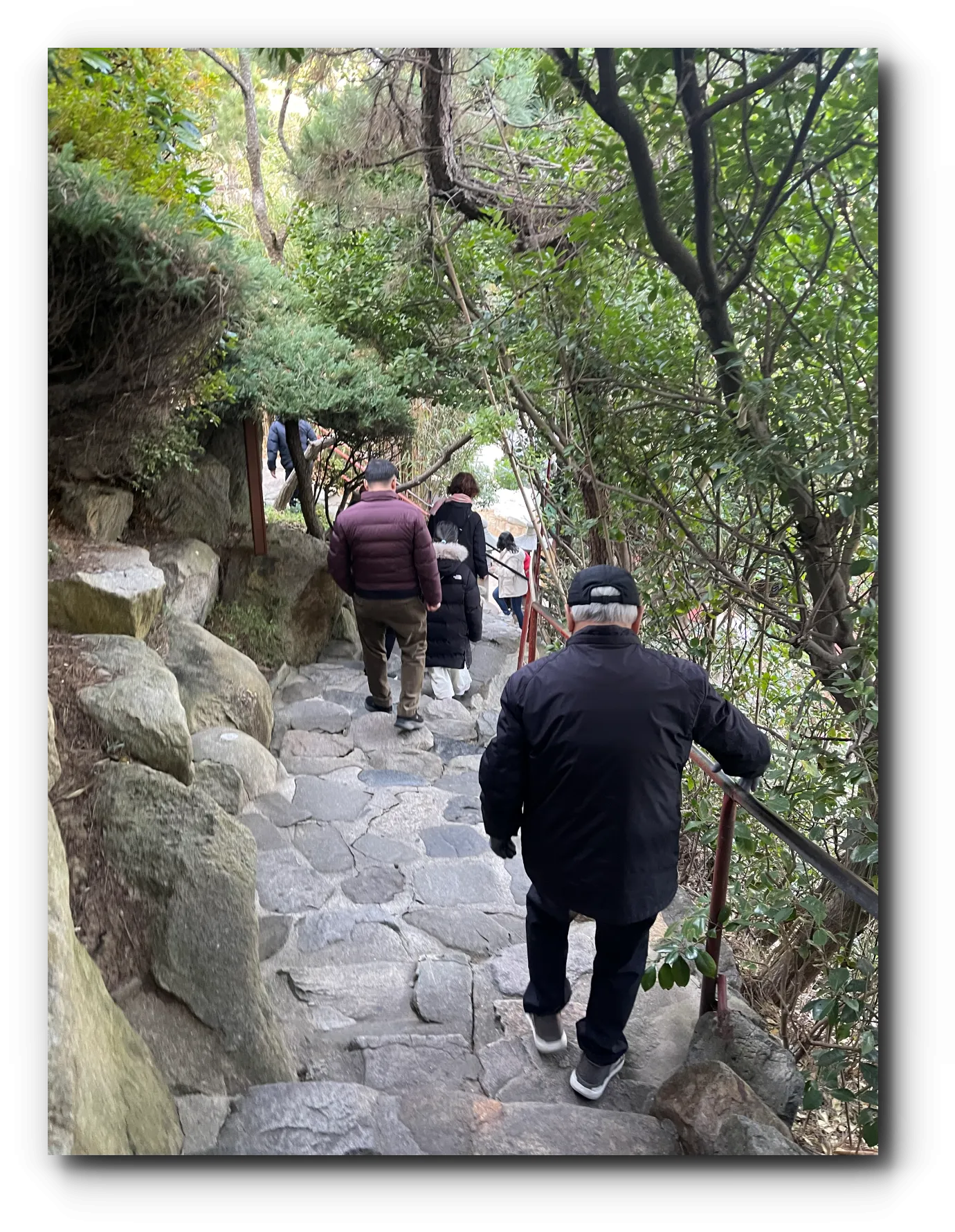 사람들이-다니는-나무로-둘러싸인-산책로