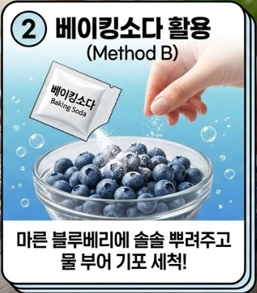 블루베리 세척법