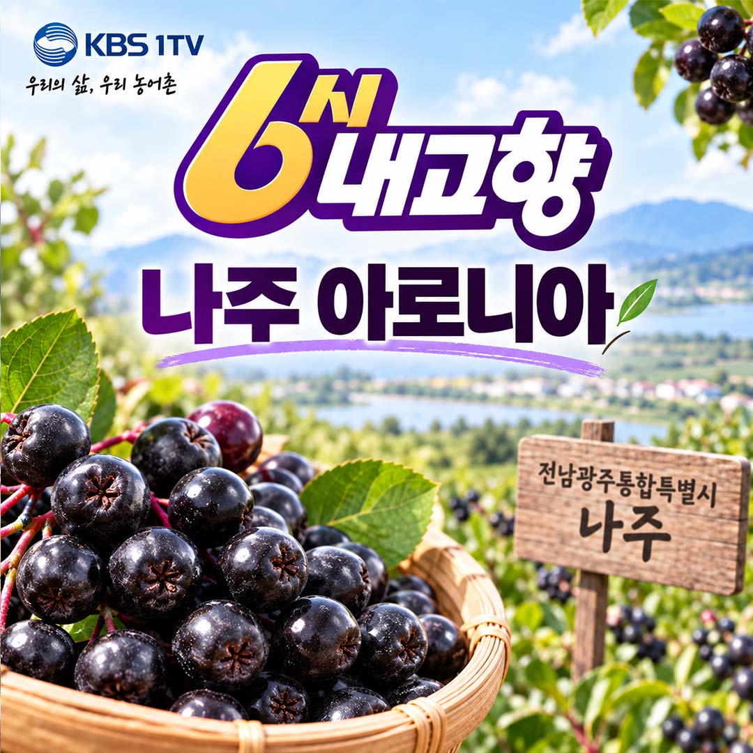 아로니아 나주 호성영농조합법인 연락처·아로니아 정보