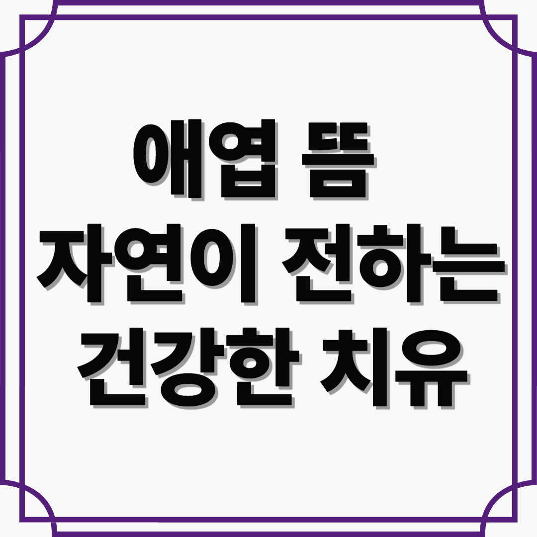 여성의 몸을 따뜻하게 안아주는 &lsquo;애엽 뜸&rsquo;, 자연이 전하는 건강한 치유