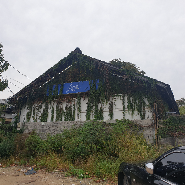 대전 소제동 카페 거리: 대나무가 인상적이었던 카페 '풍류소제'_이탈리안 식당 글로브 소제