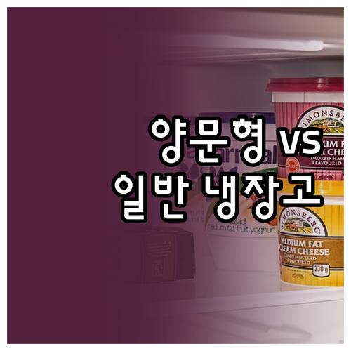 양문형 냉장고 vs 일반 냉장고 장단..