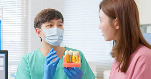 임플란트 연말정산 의료비 세액공제 11