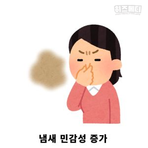 입덧 시기 증상 관리