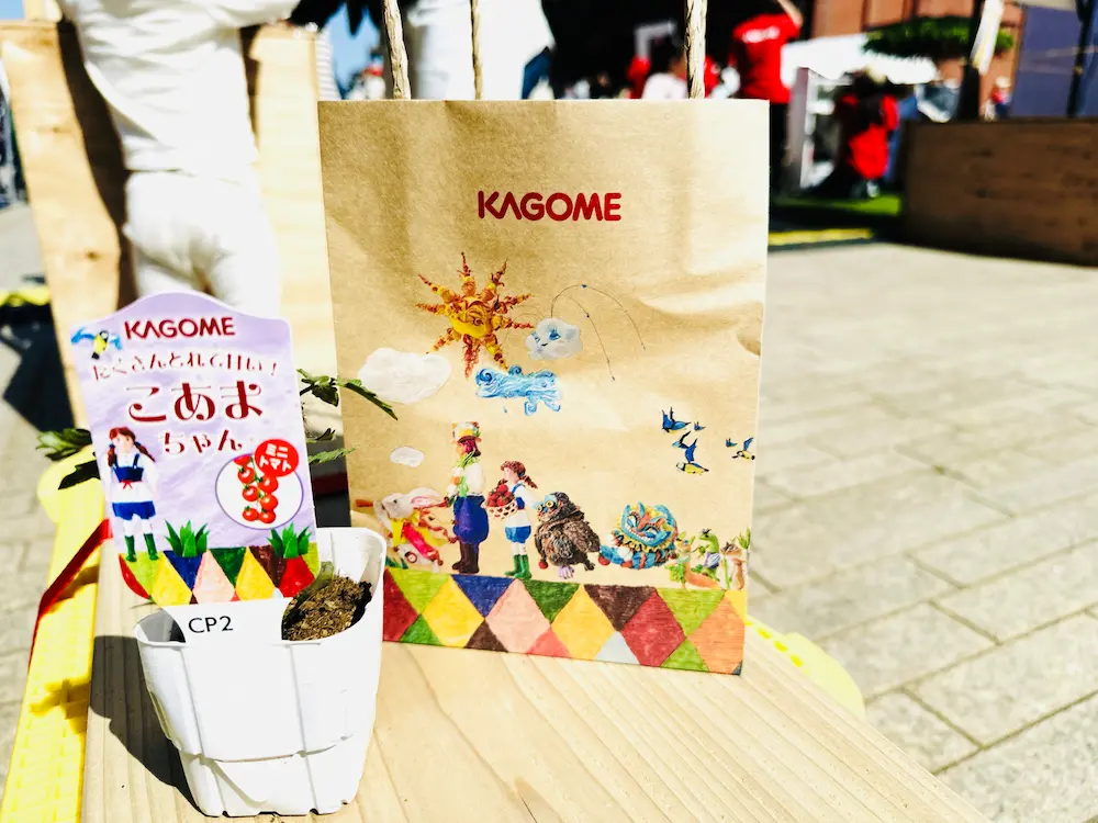 토마토 모종 사진