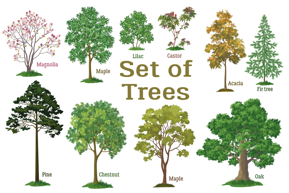 식물생리학과의 차이