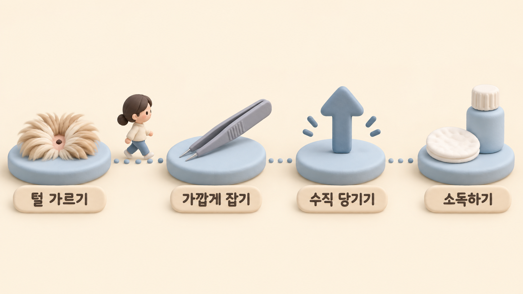 진드기 떼는 순서 징검돌