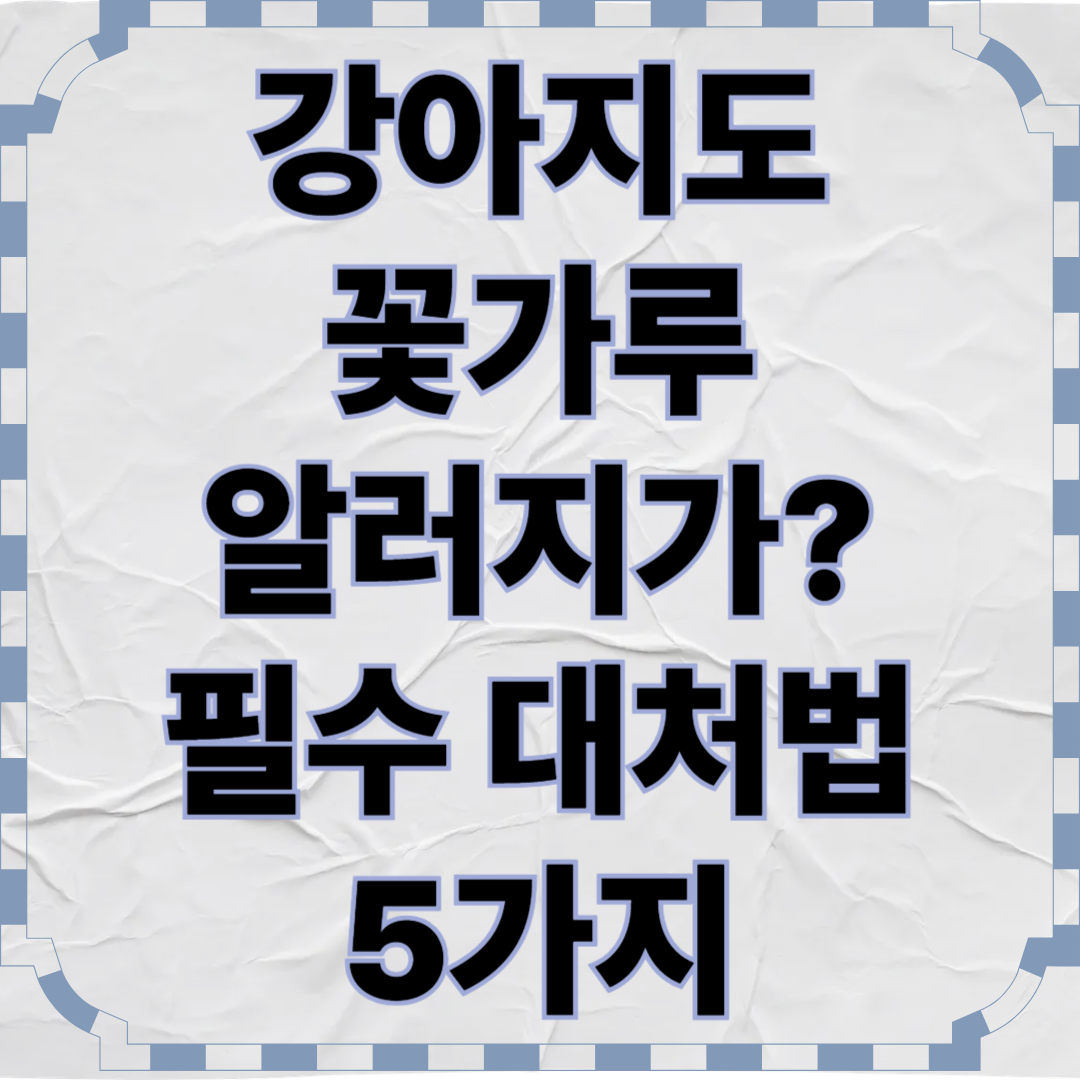 강아지도 꽃가루 알러지가? 필수 대처법 5가지