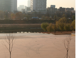 한강페스티벌 여의도한강공원