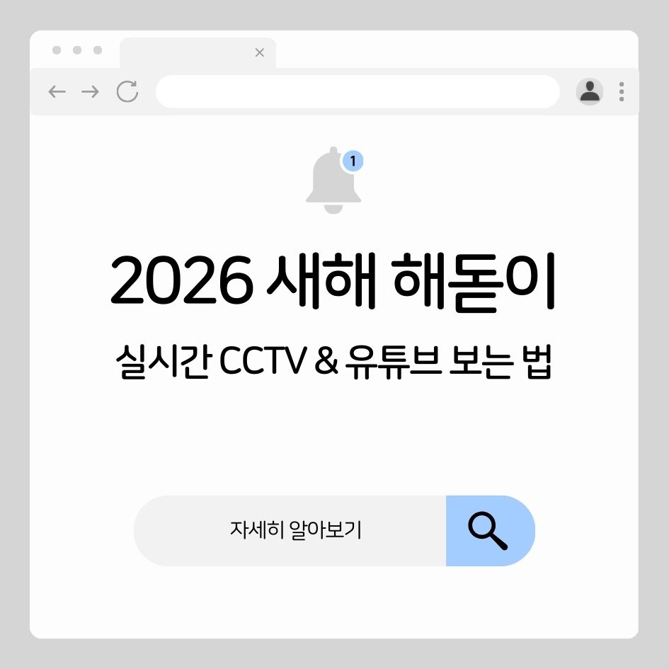 2026 새해 해돋이 CCTV 실시간 생중계