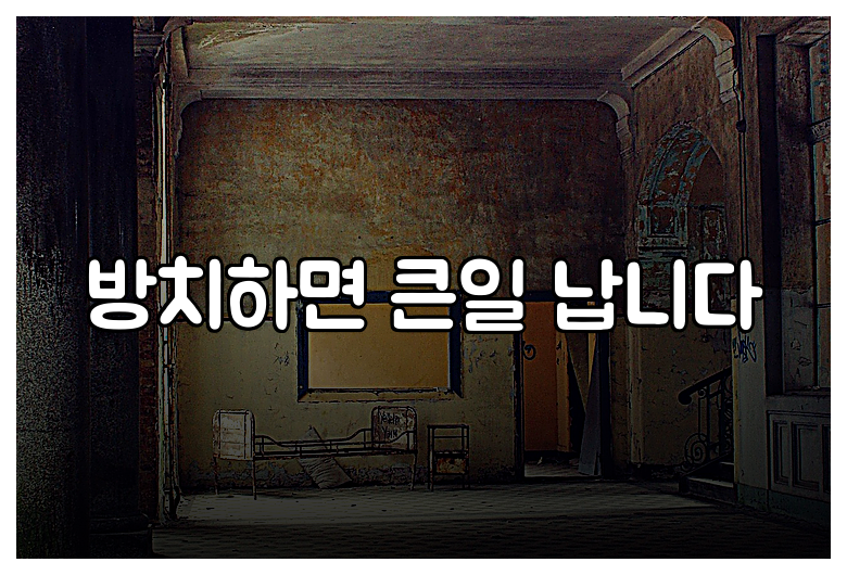 방치하면 큰일 납니다