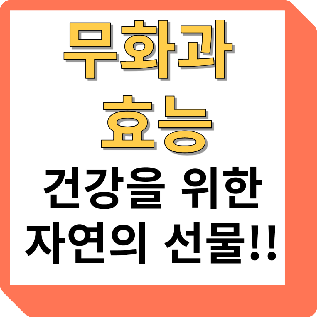 무화과 효능
