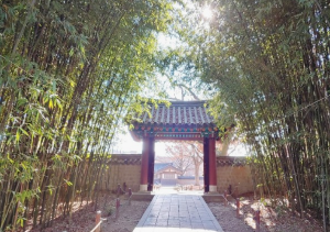 전주당일치기여행코스